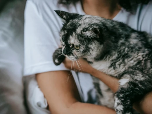 Pet Goodbye – Atbalsts 24 / 7