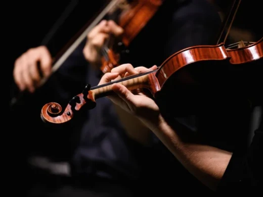 SIA ELIZIUMS-1 – Apbedīšana, Kremācija un Atbalsts