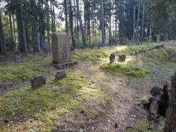 1.pasaules kara brāļu kapi(203 kv 6.nogabals 609 apgabals) 1.pasaules kara brāļu kapi(203 kv 6.nogabals 609 apgabals)