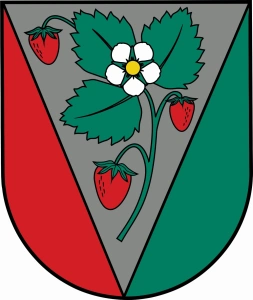 Salas novada bāriņtiesa Salas novada bāriņtiesa