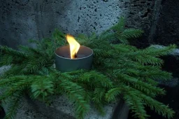 Drustu kapi
