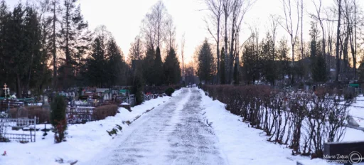 Slimnīcas ielas kapsēta (Rēzekne)