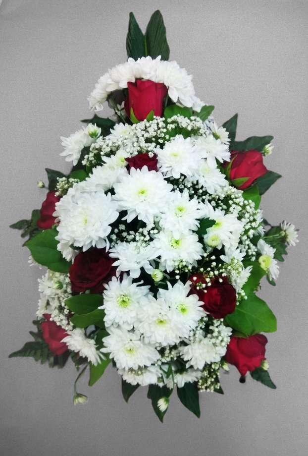 Траурные штраусы