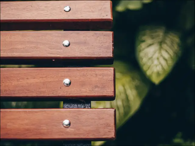 Koka soļiņi kapiem