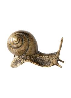 Snail T29 102