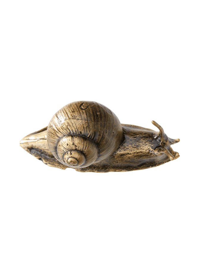 Snail T29 099 Snail T29 099