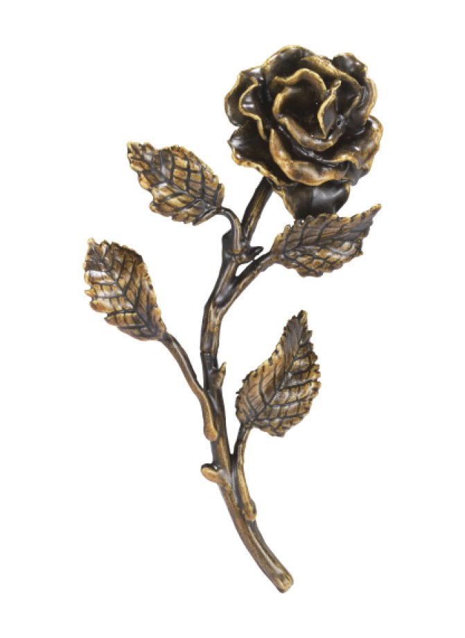 Rose Rose