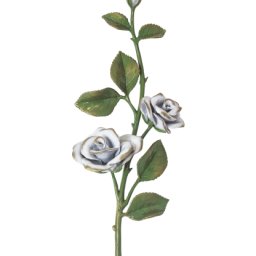 Preview image for Роза