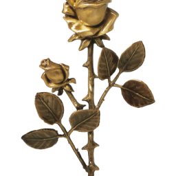 Preview image for Rose