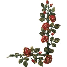 Preview image for Rose