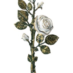 Preview image for Rose