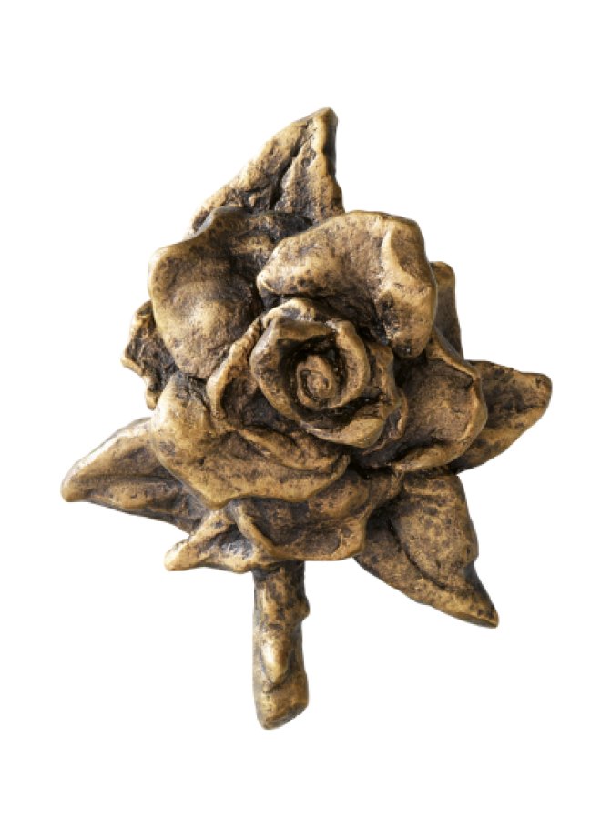 Rose Rose