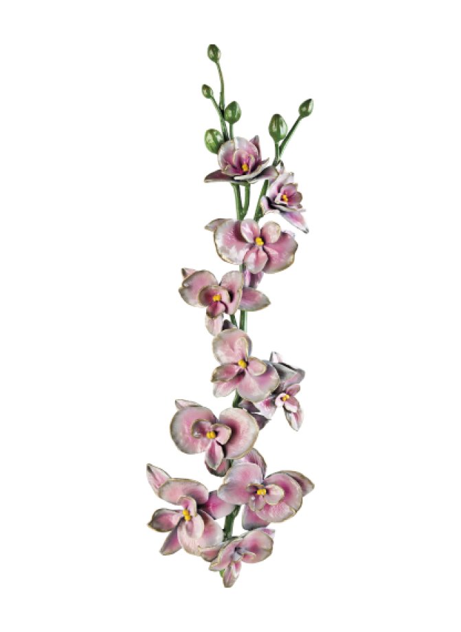 Orchidėja Orchidėja