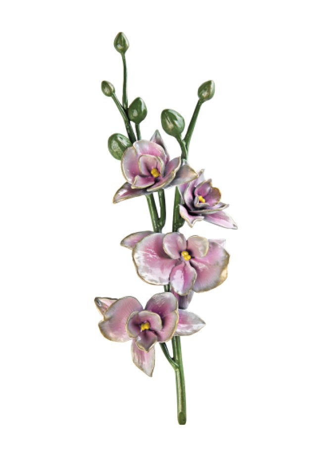 Orchidėja Orchidėja