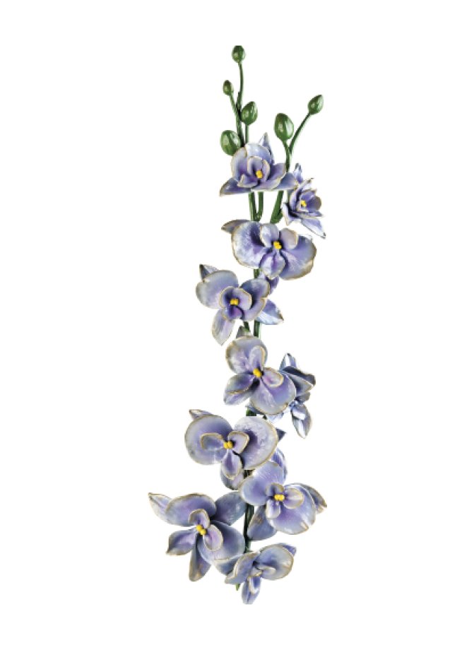 Orchidėja Orchidėja
