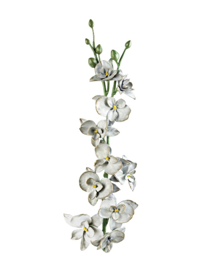 Orchidėja Orchidėja