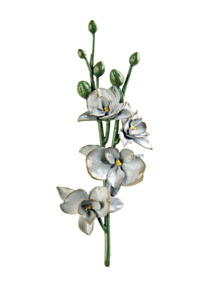 Orchidėja Orchidėja