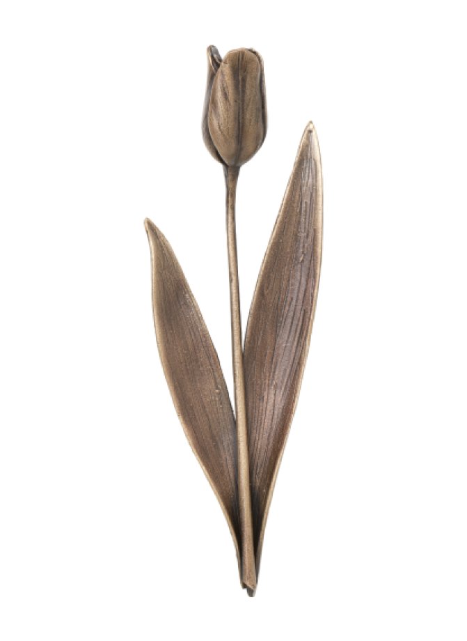 Tulpė Tulpė