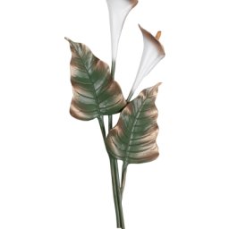 Preview image for Calla