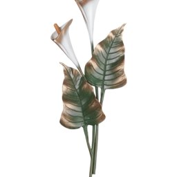 Preview image for Calla