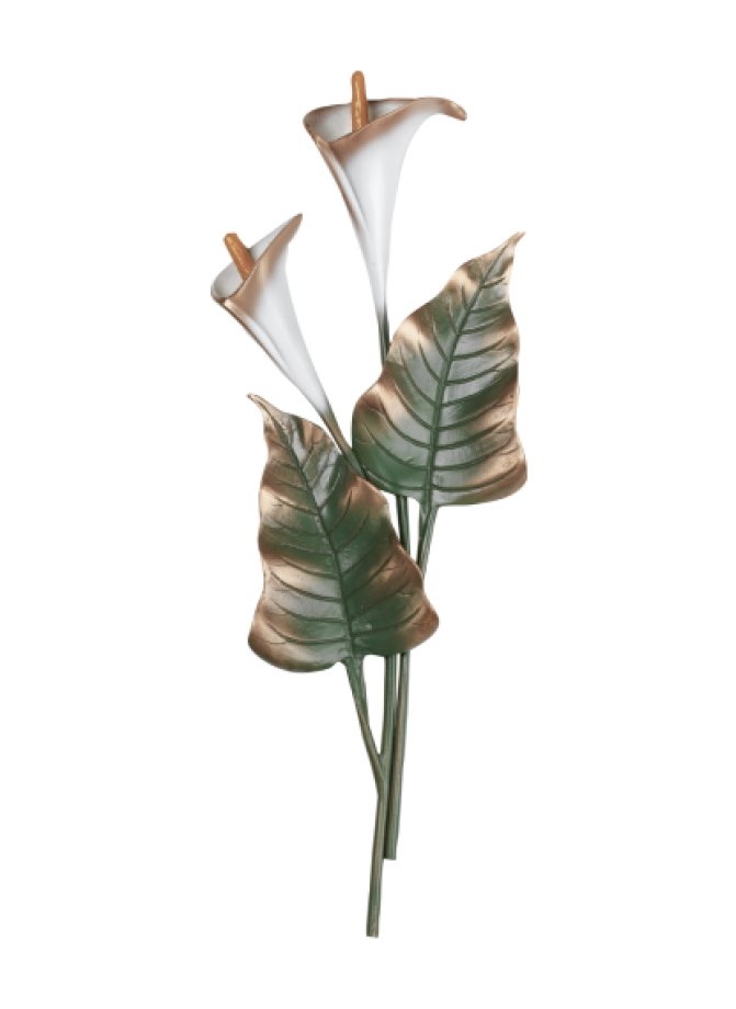 Calla