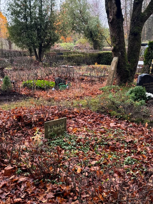 Rīgas Meža kapi novembrī, kapavietas klātas ar krītošām lapām