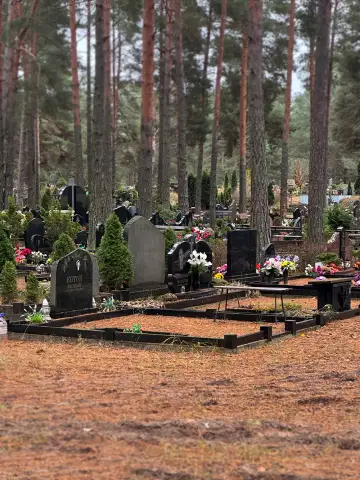 Kapavietas starp sausām priežu skujām