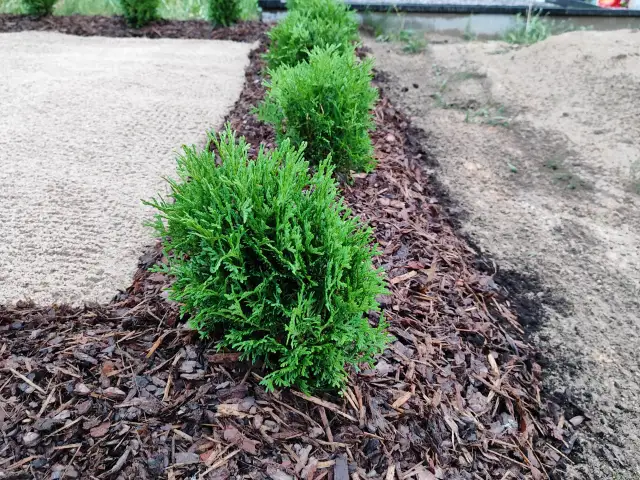 			Mūsdienīgs kapu uzkopšanas serviss ar foto atskaitēm
	